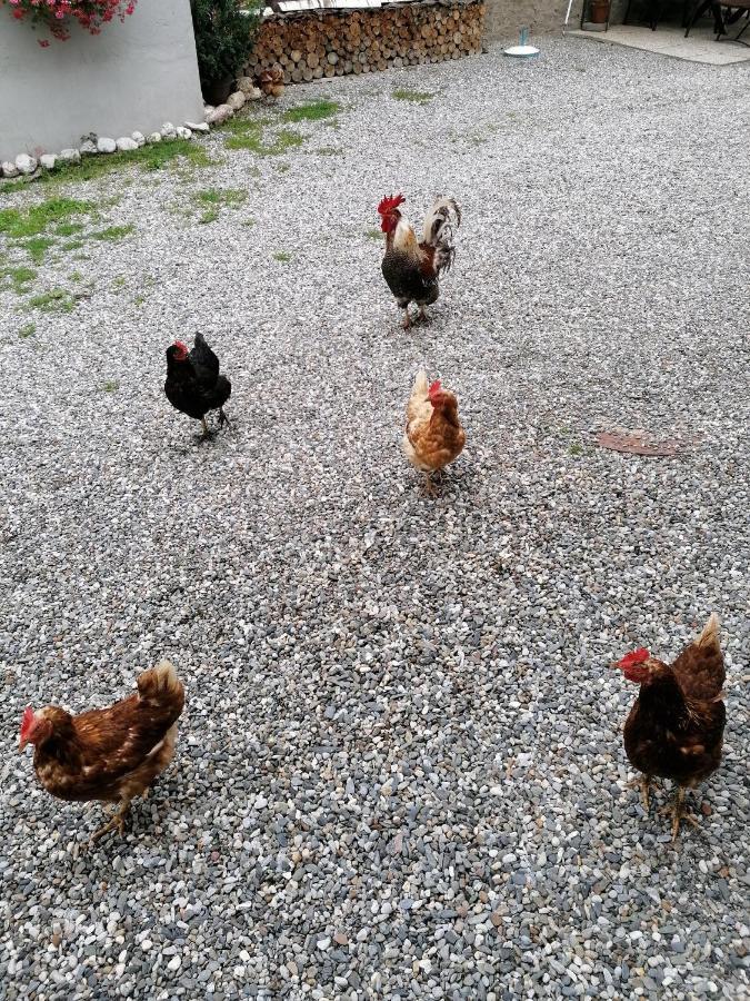 Haus Oswald Am See ヘルマゴル エクステリア 写真